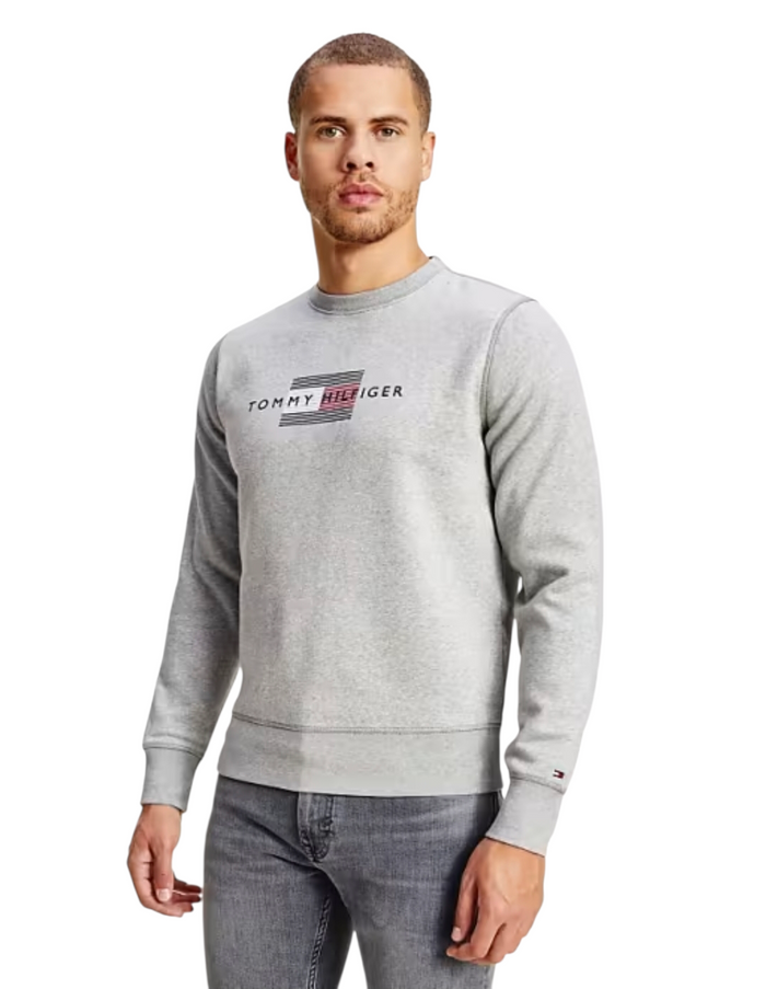 SUDADERA GRIS CLARO LOGO AL CENTRO